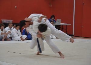 palmer judo