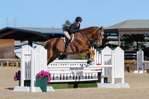 Equestrian Story - Picture of Taylor Beasley and her horse Jaguar