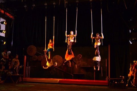 Sophomores star in circus shows, daring acts