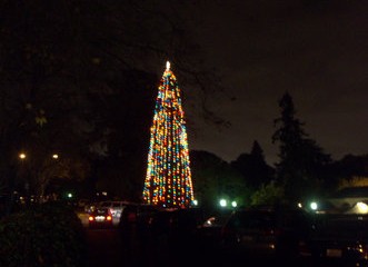 Annual Christmas Tree Lighting ceremony amazes audiences