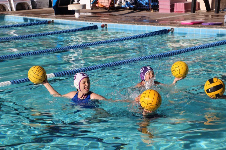Women’s water polo and volleyball organize clinics