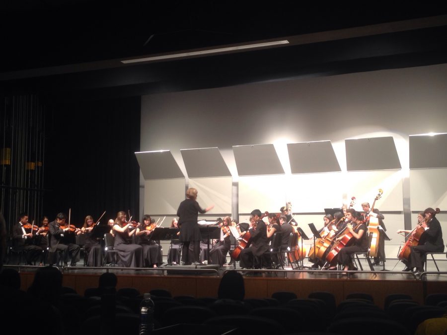 Orchestra wins ‘superior’ title at annual CMEA