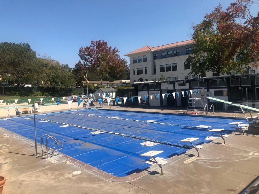 Pool measure goes to polls | City council considers Reach Codes