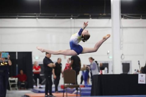 Junior Elite Gymnast Transitions to Diving for Health and Opportunity