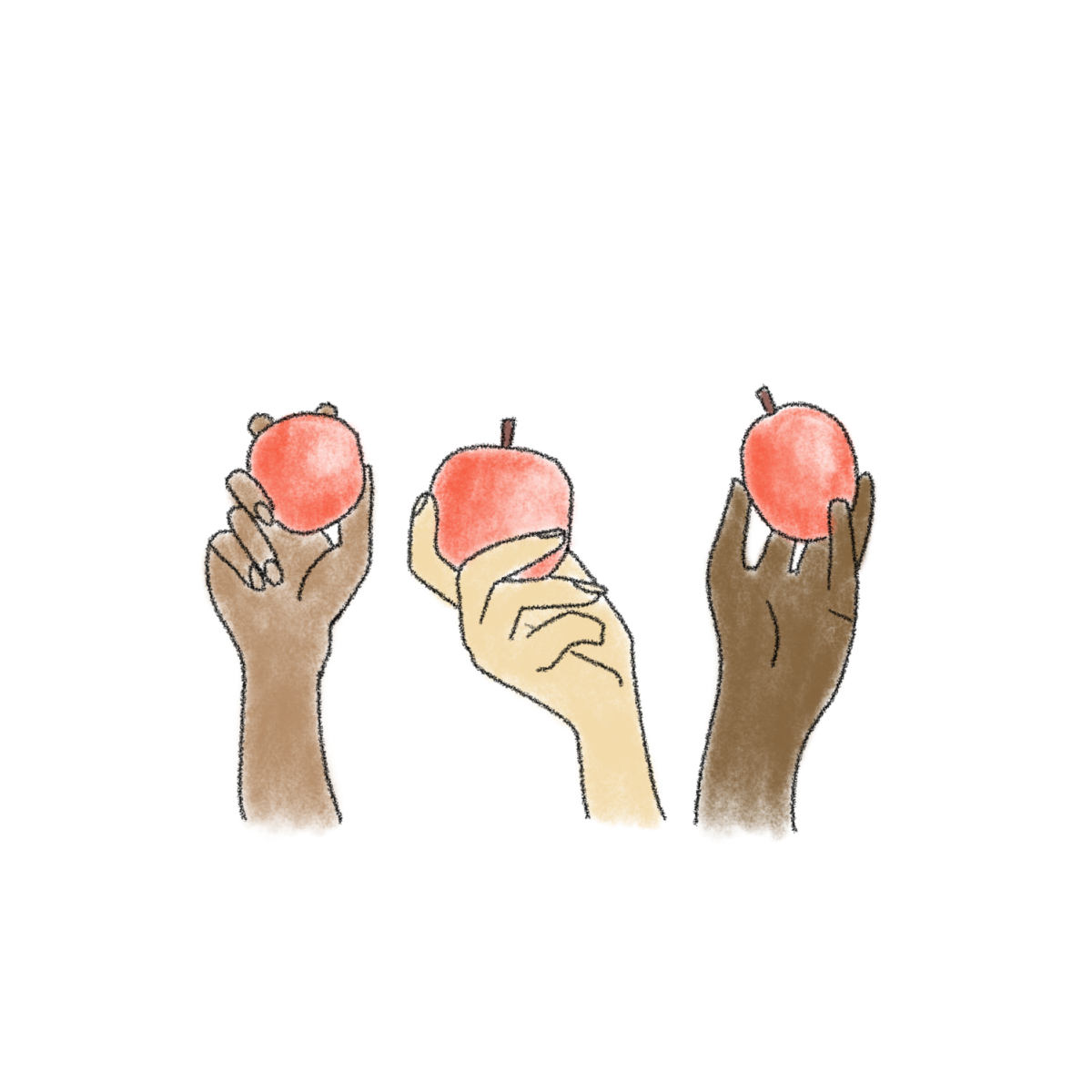 Racial Equity Project