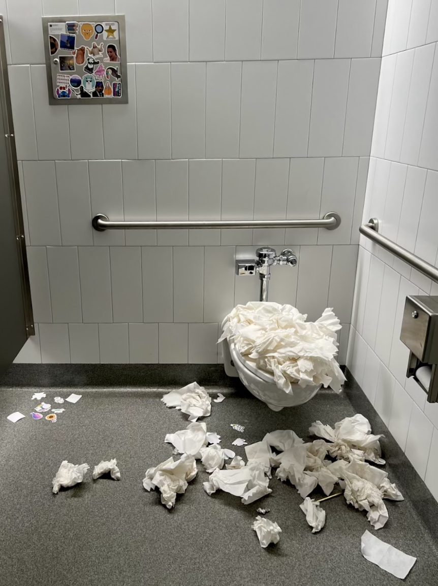 Toilet Paper stuffed in the toilets
