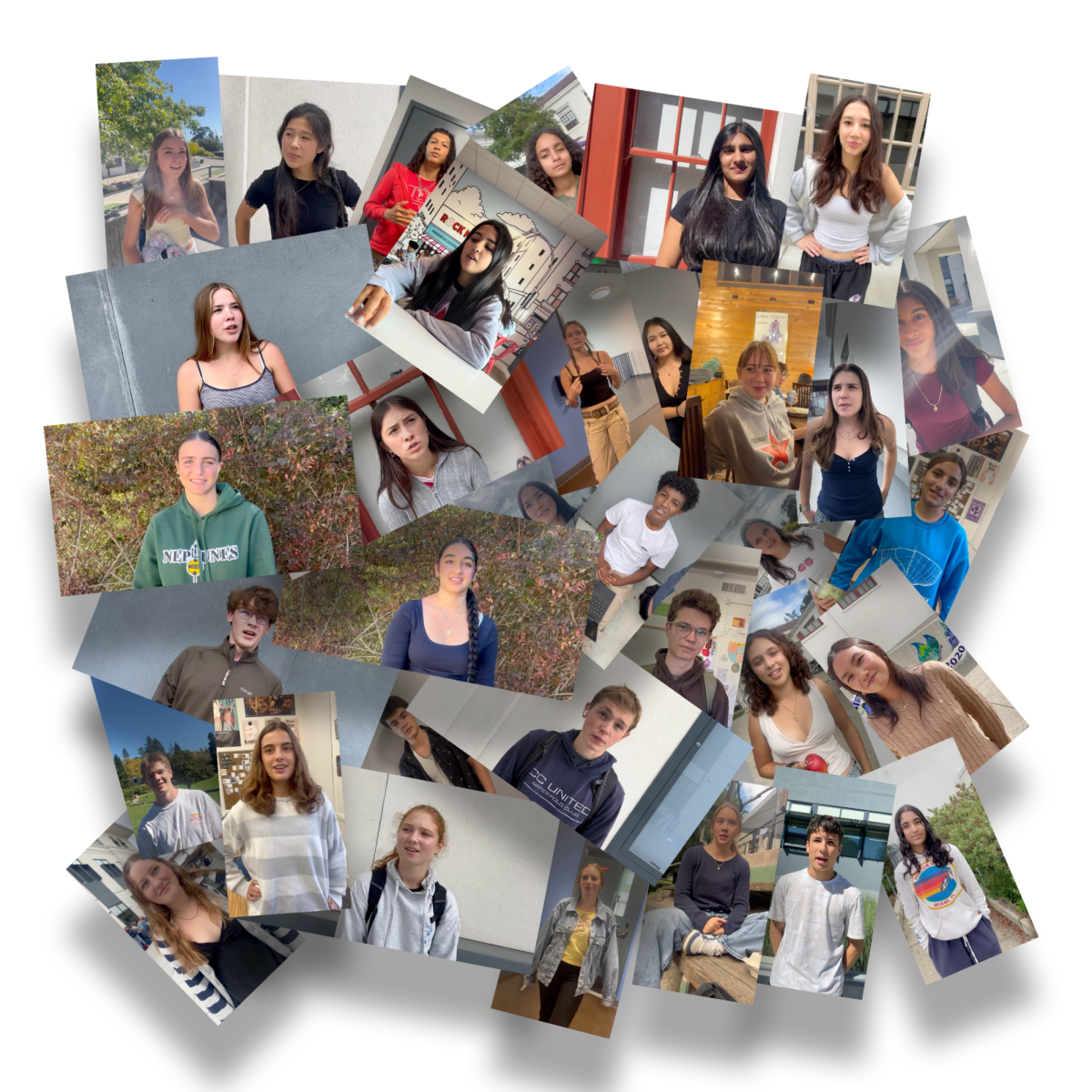 Hundreds of students shared their responses through interviews with TPH reporters