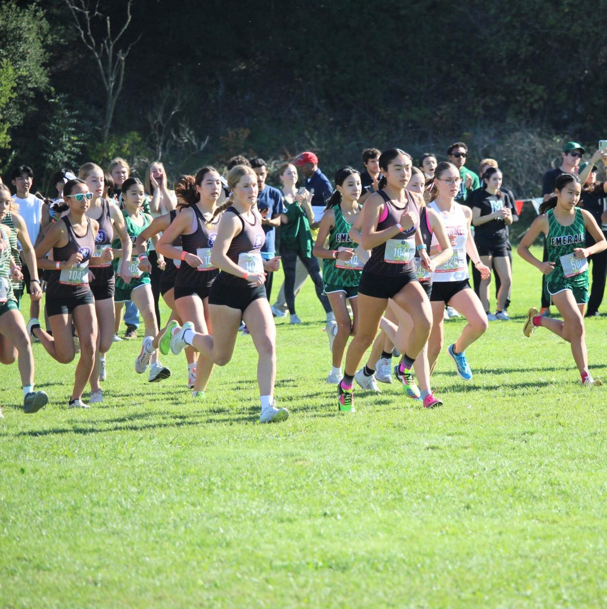 Fall Sports Season Review