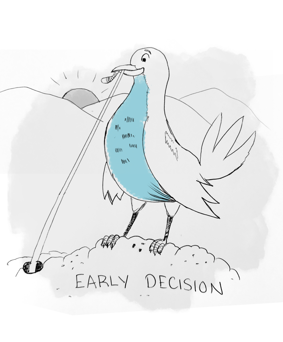 earlybird